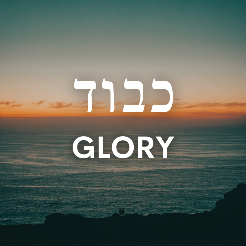 ChosenPeopleUSA's tweet photo. Check out our thoughts on this week's Torah portion! #ChosenPeople #Torah #devotional #Messianic #Parashah #Parashat #Bible #Genesis #Shemini https://t.co/7vXyrhsBFC