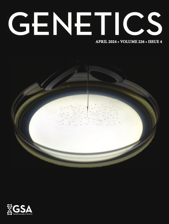 Suhasa (@bksuhasa) on Twitter photo New paper in our lab led by Andrew Alegria and <a href="/Amey__Joshi/">Amey Joshi</a> published in <a href="/GeneticsGSA/">Genetics Society of America</a> . Fun collab with <a href="/DarylGohl/">Daryl Gohl</a> and Bischof group @umnme <a href="/UMNCSE/">College of Sci & Eng</a> We also made it to the cover! academic.oup.com/genetics/artic… New paper in our lab led by Andrew Alegria and <a href="/Amey__Joshi/">Amey Joshi</a> published in <a href="/GeneticsGSA/">Genetics Society of America</a> . Fun collab with <a href="/DarylGohl/">Daryl Gohl</a> and Bischof group @umnme <a href="/UMNCSE/">College of Sci & Eng</a> We also made it to the cover! academic.oup.com/genetics/artic…