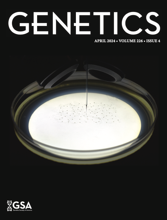 New paper in our lab led by Andrew Alegria and @Amey__Joshi published in @GeneticsGSA . Fun collab with @DarylGohl and Bischof group @umnme @UMNCSE We also made it to the cover! academic.oup.com/genetics/artic…