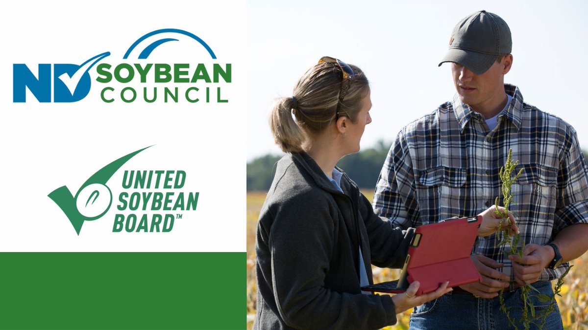 We are looking for soybean farmers interested in filling one director position with the @UnitedSoy Board. Checkoff paying soybean producers in ND are eligible. Deadline to apply is April 22. For more info, visit bit.ly/USBnd24.