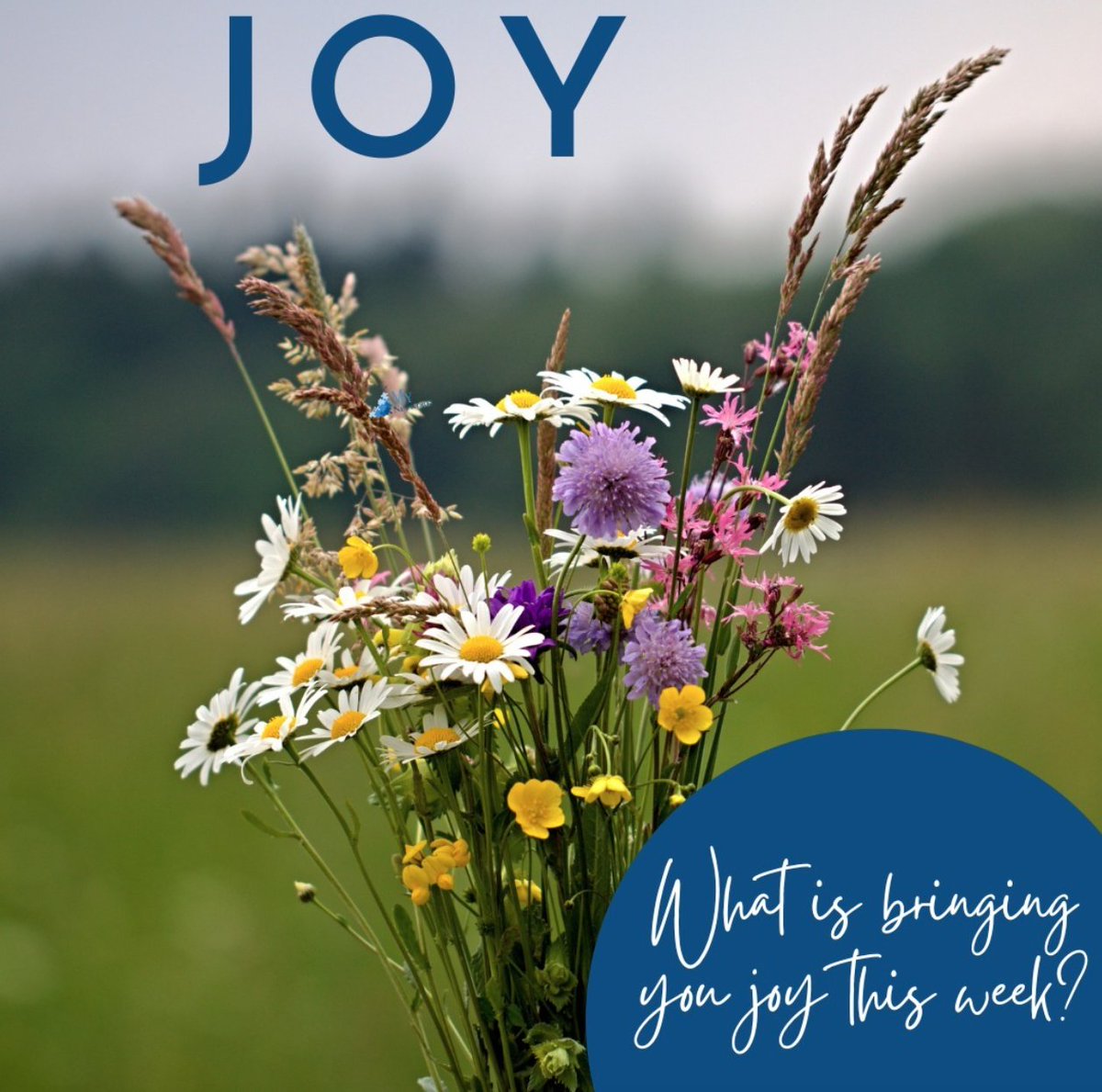 What is bringing you JOY this week?
WHERE have you found recharges & resets?
What has left you with pause and gratitude?

#MyNetwork #MyNetworkINS #WhatBringsYouJoy #MakeAJoyfulNoise #FindYourPause #IMPACT #InPurpose #OnPurpose #ForPurpose