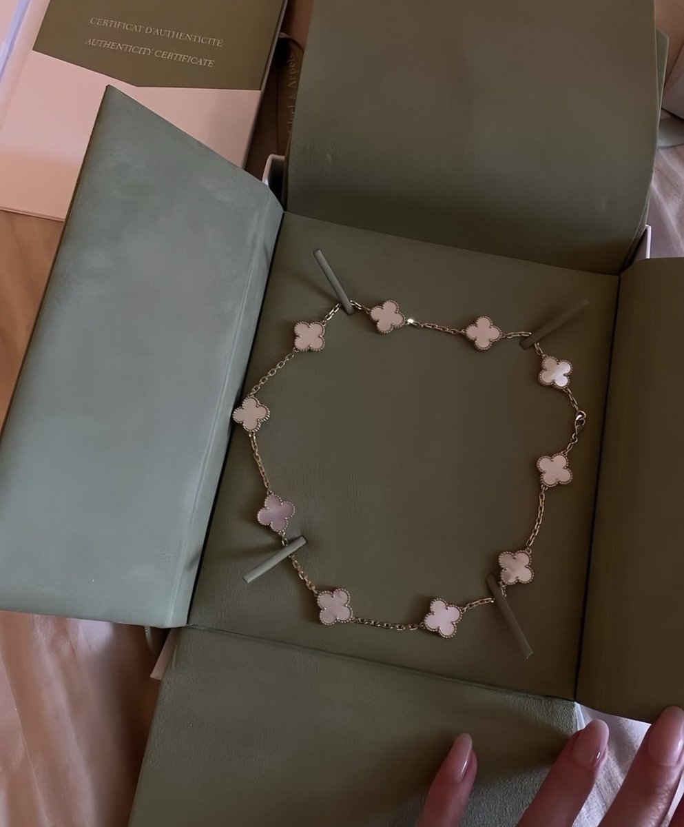 𝘝𝘢𝘯 𝘤𝘭𝘦𝘦𝘧 ✨