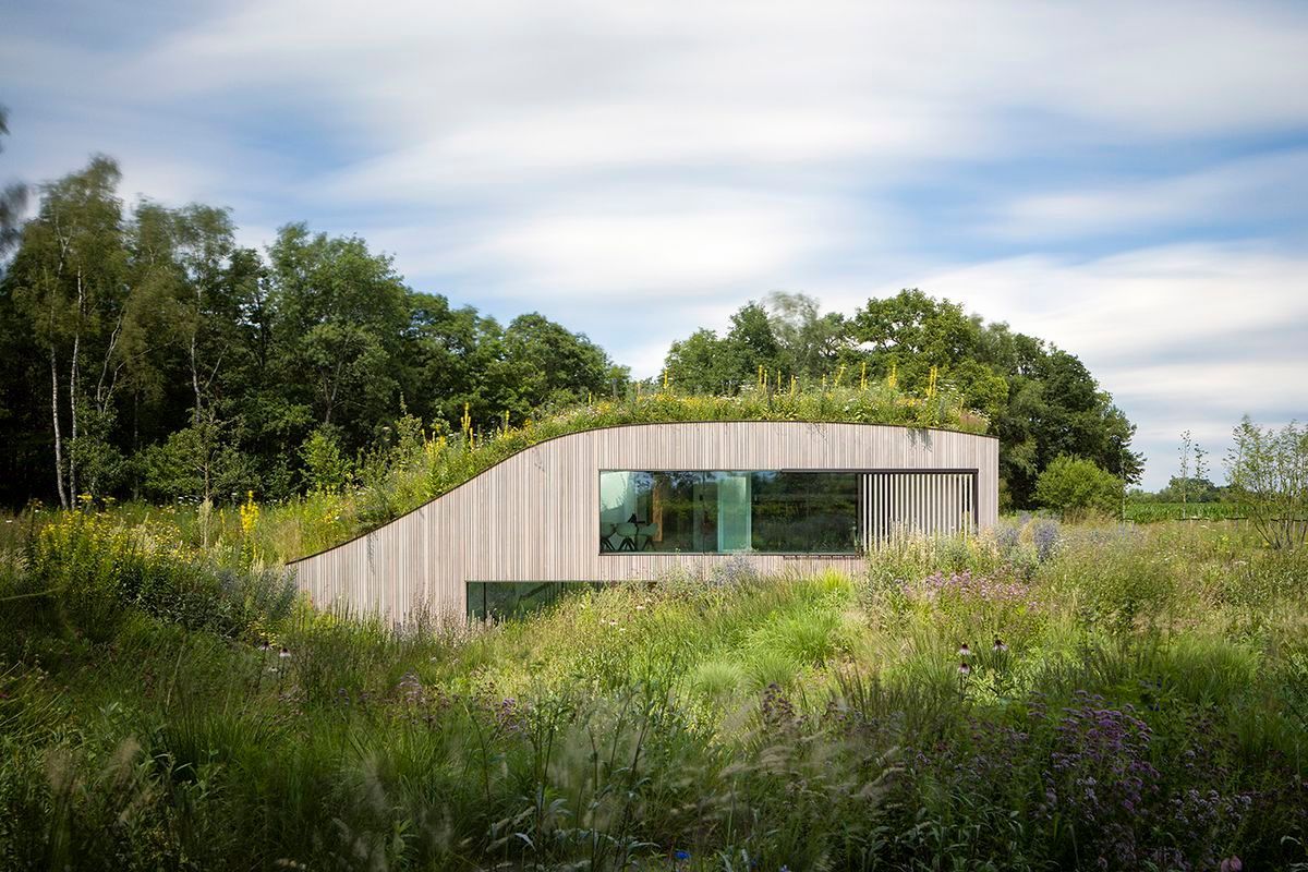 scavoliniTO's tweet photo. Now that spring has sprung, we're dreaming of architectural gardens that soothe the soul. From small domestic gardens, to nature reserves, urban interventions &amp; local parks, these are some of the finest green projects across the world from @wallpapermag: https://t.co/x6I1qn8ZWD https://t.co/Aizd6HzUpS