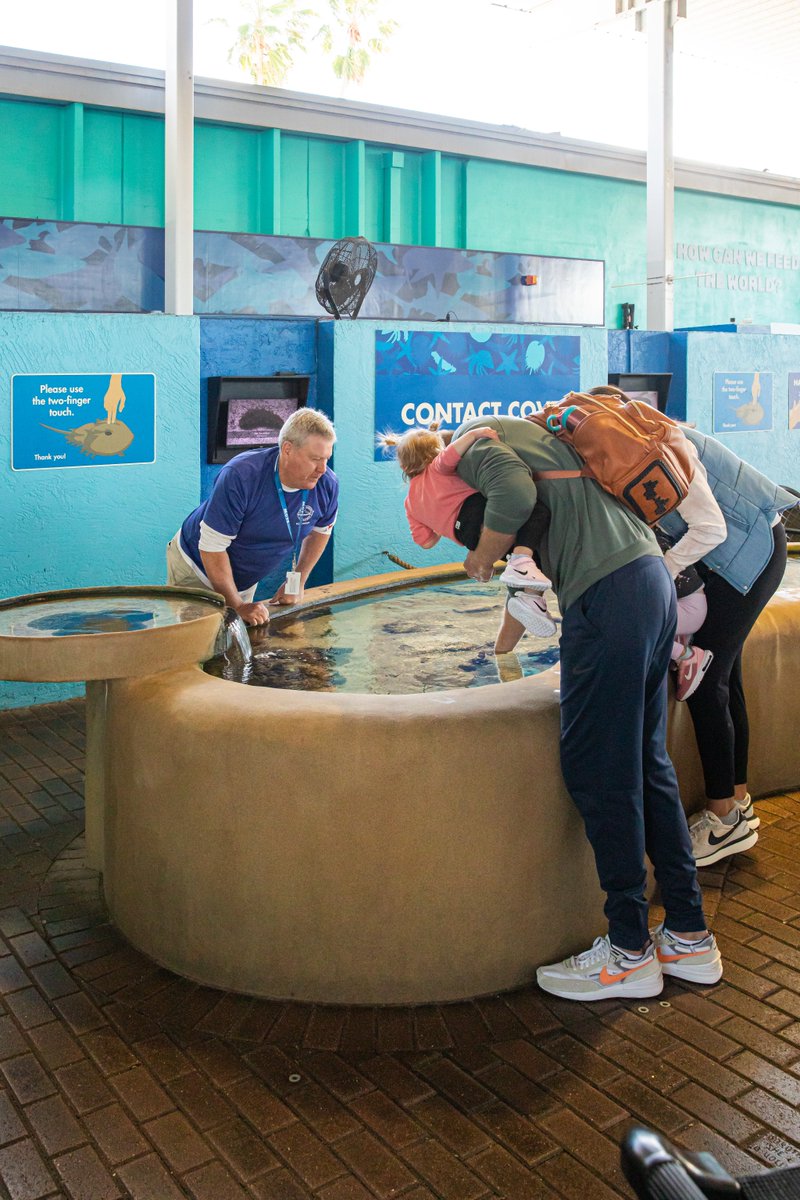 April is National Volunteer Month! Thanks to our more than 1️⃣3️⃣0️⃣0️⃣ amazing volunteers that help us conduct research and provide education to the public. Whatever the task - Mote volunteers know how to get the job done‼️ #motemarinelab #NationalVolunteerMonth