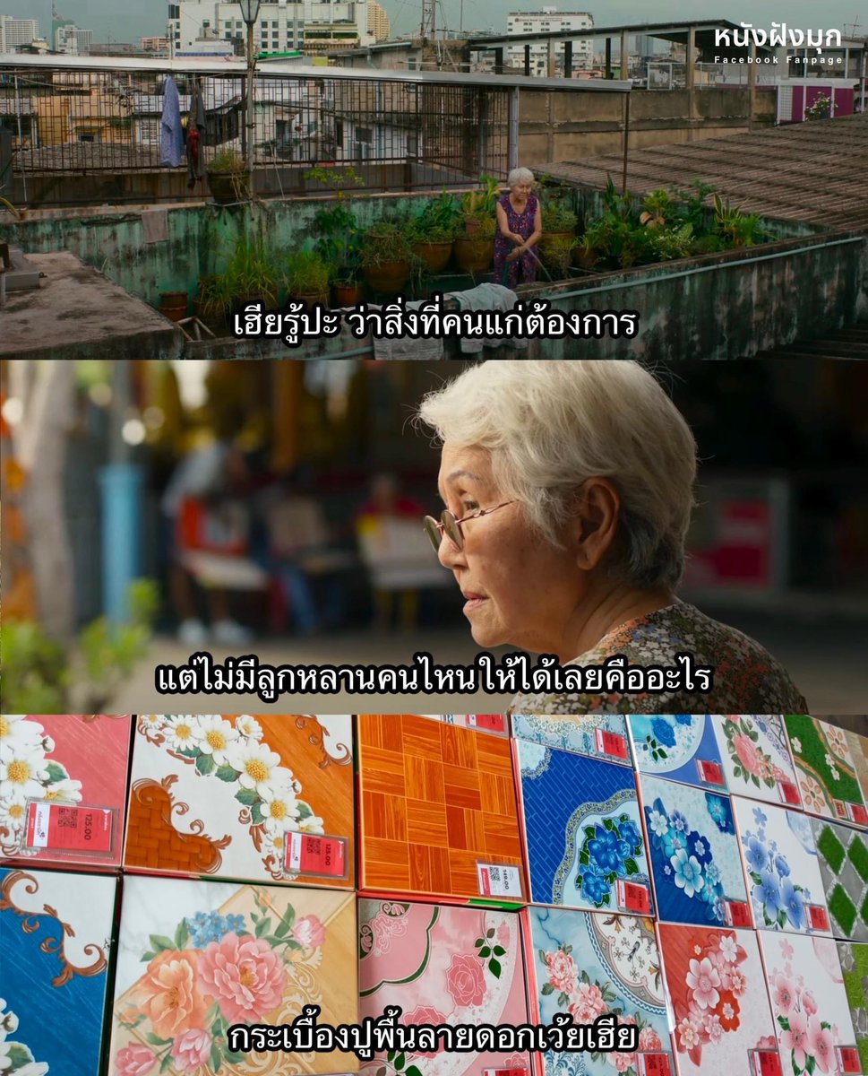 กระเบื้องลายดอก ขำจะบ้า5555555545555544455555555555555555555555555555555555555555555555555555555

#หลานม่า