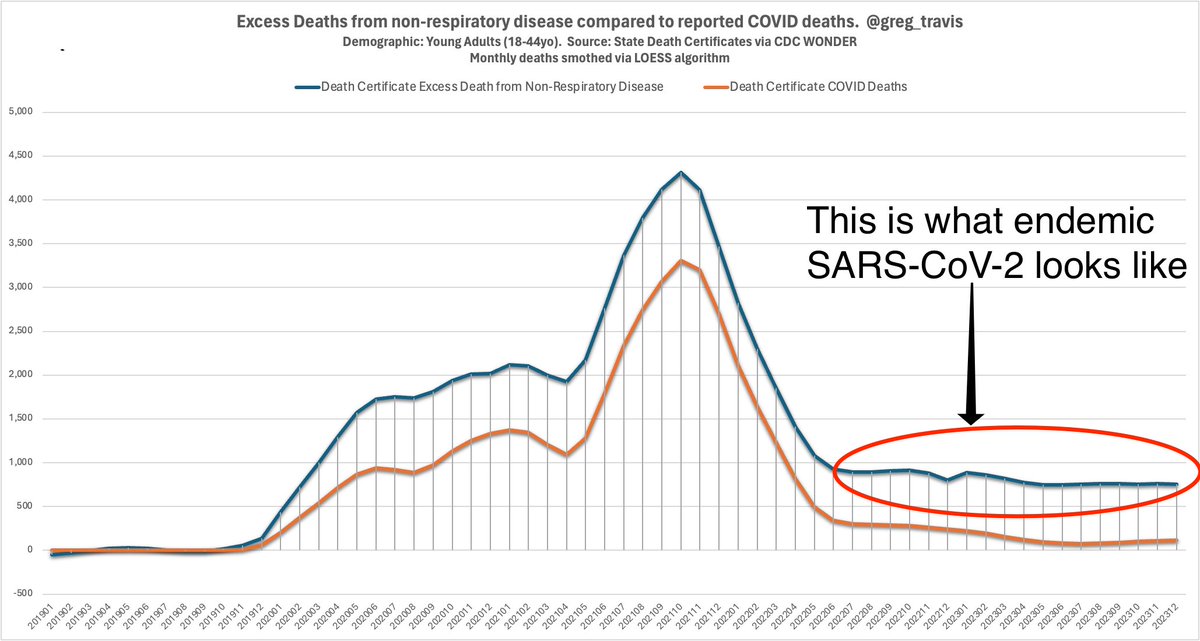 This is what endemic SARS-CoV-2 infections in those aged 18-44 years old look like Eight hundred new deaths a month, every month, forever