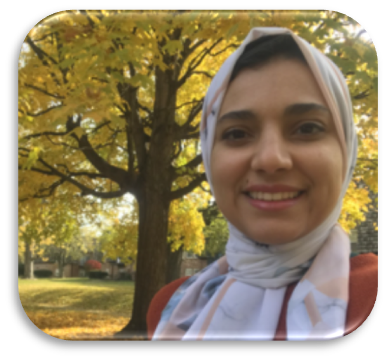 Congratulations to Sara Amer on receiving the 2024 Eastman Analytical Fellowship! @PurdueChemistry @AnfacPurdue