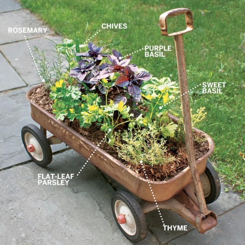 pickupdonation's tweet photo. Herb Planter DIY 🌱 Supplies: herbs, potting soil, gravel, a drill, and a hammer. 

🌱 How: 
1. Make drain holes. 
2. Line the wagon with gravel. 
3. Add soil and leave space for herbs.

🚚💨 Schedule a free donation pickup.

(This Old House, “Herb Planter Wagon“)