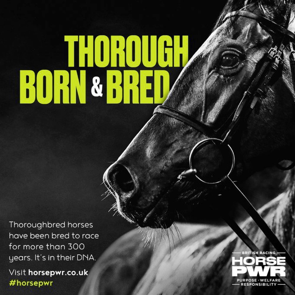 weatherbysltd's tweet photo. With our enduring link to the origins of the Thoroughbred we are proud to support #HorsePWR - British racing's new welfare campaign.  
HorsePWR is British racing’s hub dedicated to the racehorse, providing the facts about welfare in the sport.
It's always about the horse. 
Get the facts: https://t.co/kTK6zye7Yu
#HorsePWR