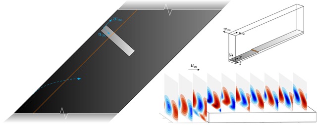 Hot off the press! @jcasacubertap et al. (@AETUDelft & @tudelft) unveil a new reverse lift-up effect for stabilizing crossflow instabilities, prompting new possibilities for passive control strategies to optimize laminar flow within boundary layers. More @ go.aps.org/3xyAdZ2