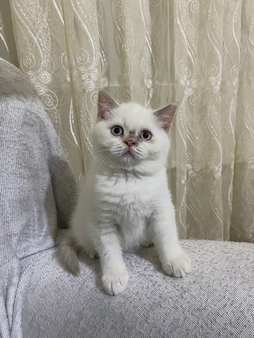 Hasaannklc's tweet photo. 🤍Elmas💎😍 https://t.co/KuANhpONzj