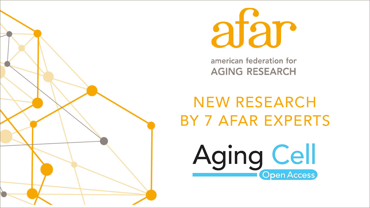 New #research by 7 AFAR #grantees and experts on a #genetic mutation that could promote #longevity & protect those predisposed to #Alzheimer’s in @AgingCell. Read more here: ow.ly/WSTq50R6Xkt