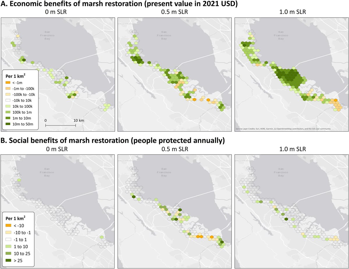New research from @UCSC, @sfei_asc, and @USGS explores the potential of #NatureBasedSolutions, specifically #MarshRestoration, in bolstering #ClimateResilience along the shores of #SanMateoCounty, #California: ow.ly/19cg50R8JFw