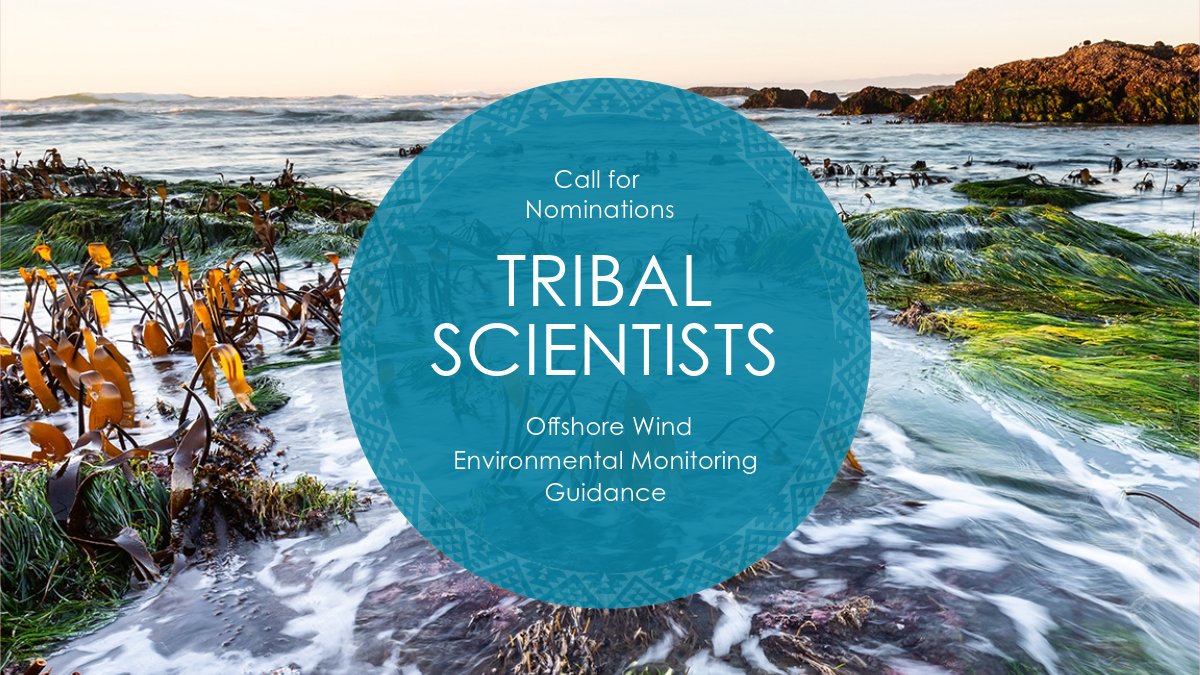 In partnership w/ @californiamsf we invite tribal scientists to contribute to environmental monitoring guidance development for #offshorewind 🌊🌀. Seeking expertise across subjects including marine species & habitats, data integration, and #climatechange! bit.ly/OPC-TSOSW