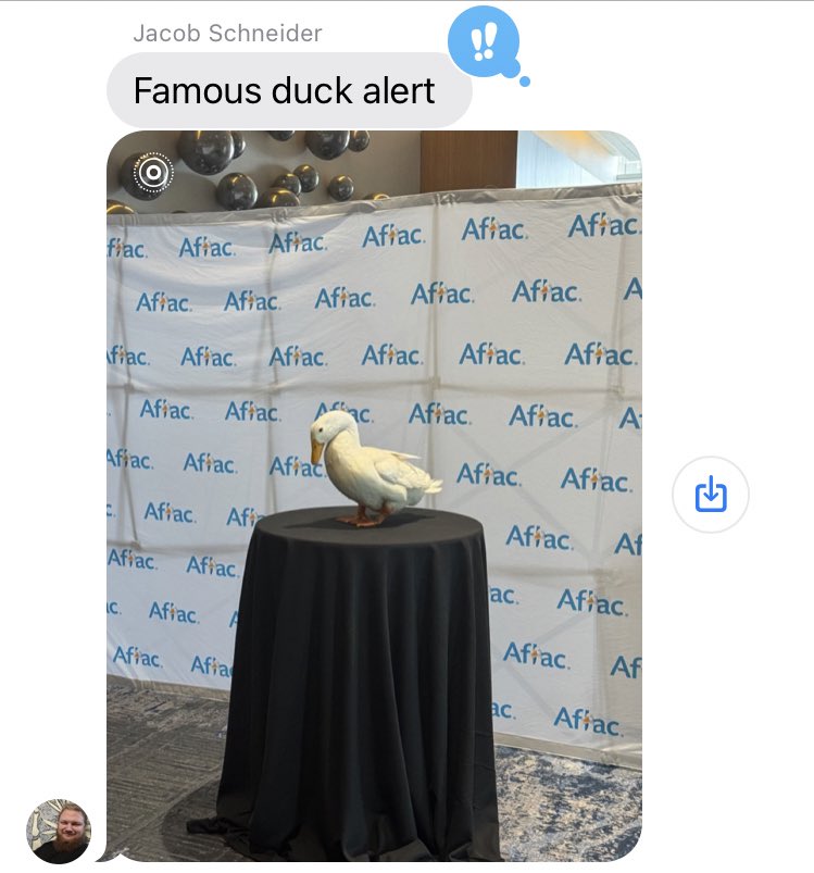 DreadAndBfast's tweet photo. Today in the group chat: https://t.co/cFwH86WNTx