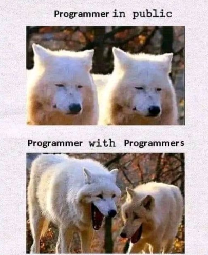 CodeWithMemes_'s tweet image. Why Programmers are so shy?