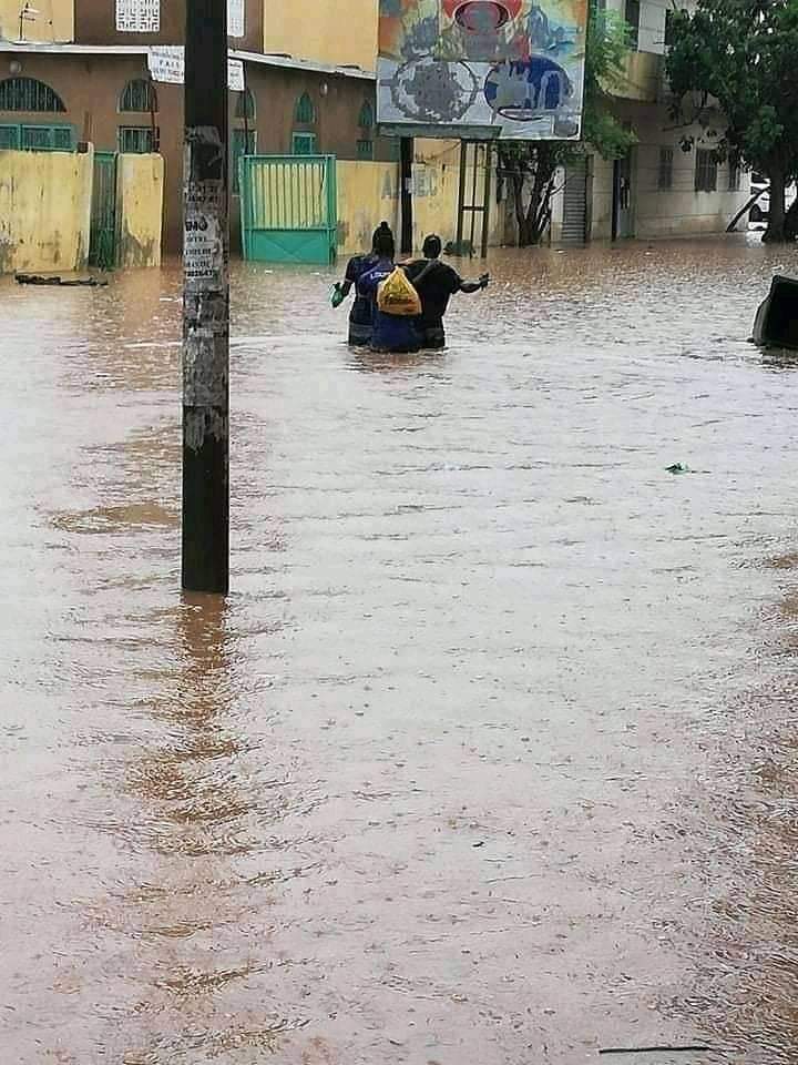 Brayediallo's tweet photo. Tous les patriotes devraient aider le président DIOMAYE à  préparer le prochain hivernage.
On identifie les zones d'inondation et on essaie de trouver des solutions en attendant un bon plan de gestion. https://t.co/QbmXqtiSGk