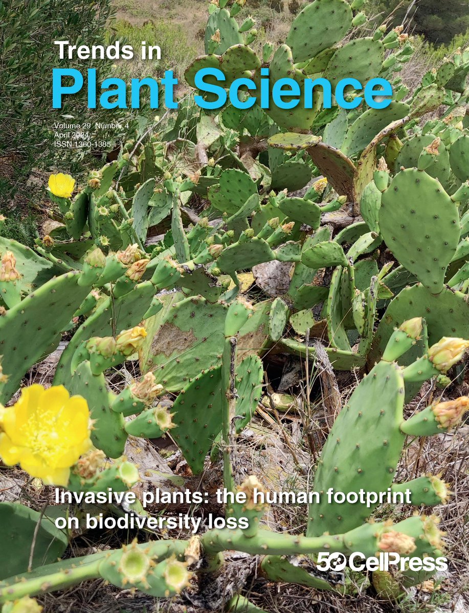 April Issue. Read FREE: Tracking the early events of photosymbiosis evolution; Re-examining meristems through the lens of evo-devo; Releasing hidden MAMPs from precursor proteins in plants; Rhizosphere engineering for soil carbon sequestration &amp; more cell.com/trends/plant-s…