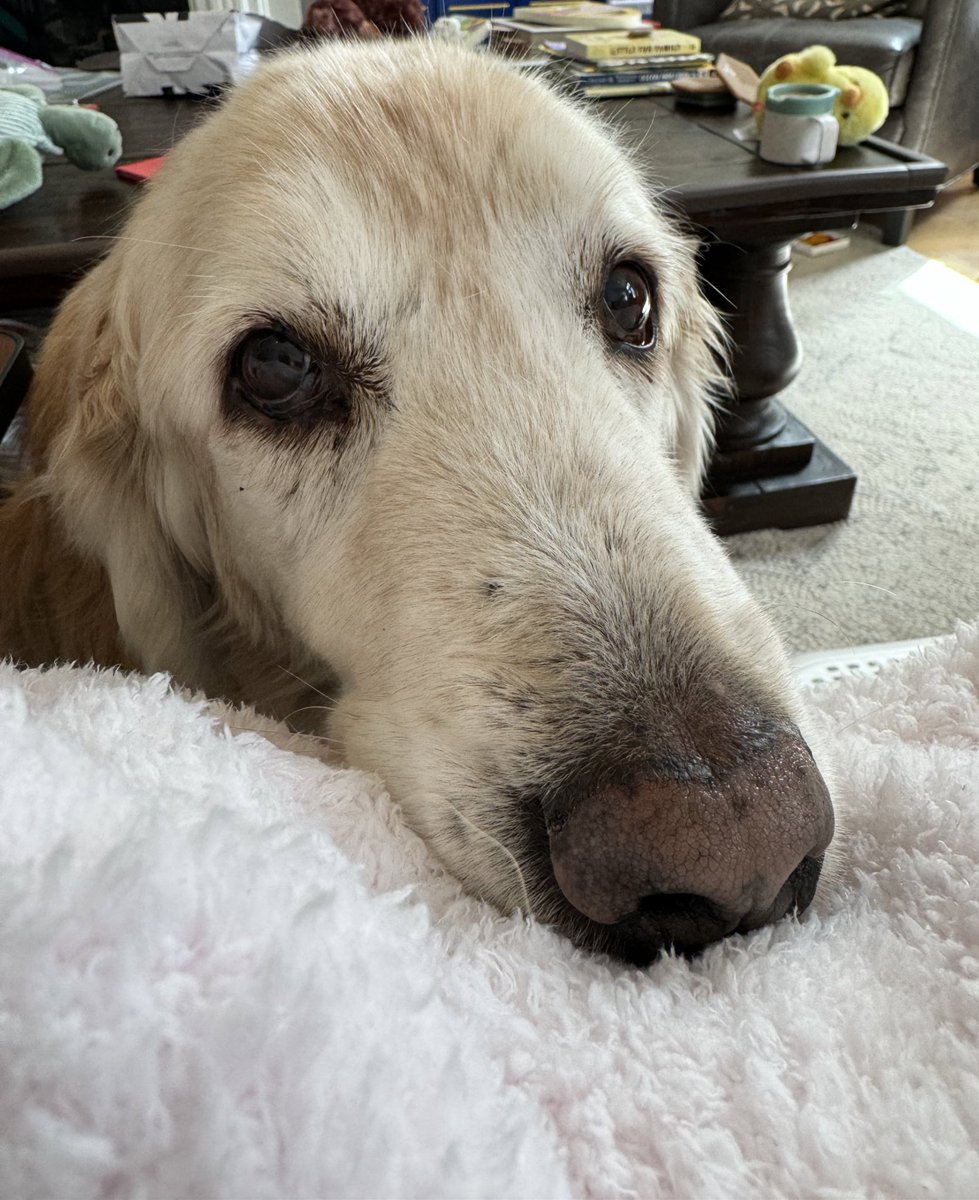 Your #dailywally says I’ve been slacking at posting Daily Wallys