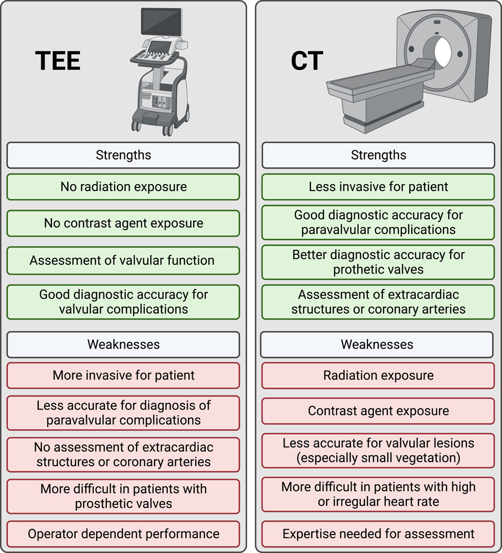 🔴 Computed Tomography in Infectious Endocarditis #openaccess #2024Review jscai.org/article/S2772-… #CardioTwitter #FOAMed #MedEd #medstudent #paramedic #Cardiology #CardioEd #medtwitter #meded #CardioTwitter #cardiotwiteros #MedX #cardiovascular #MedTwitter