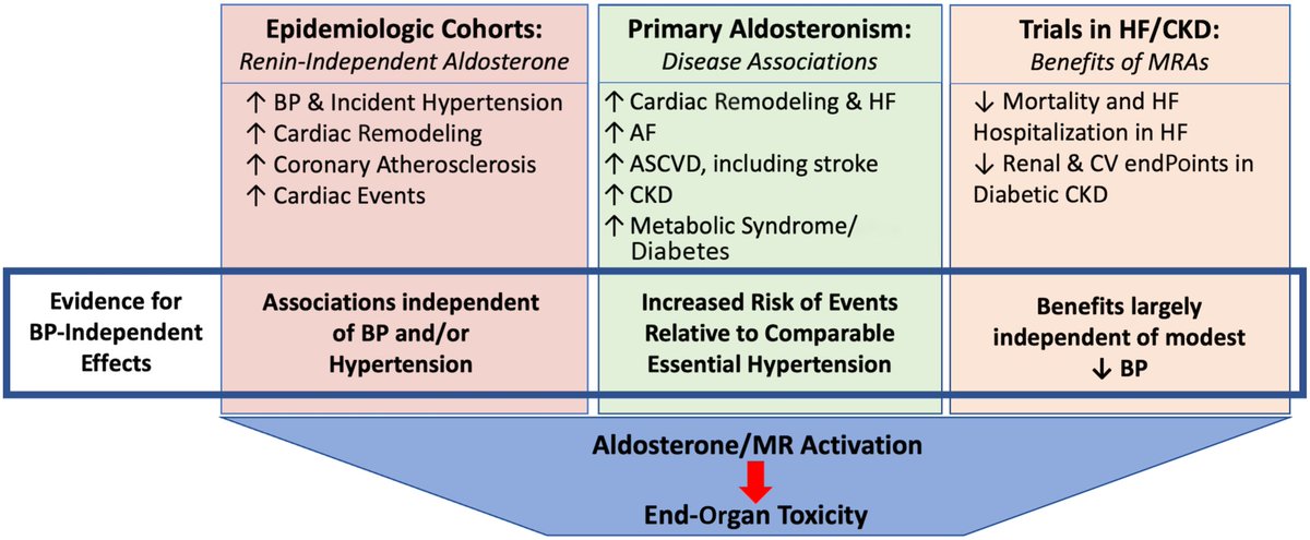 🔴   Aldosterone - can't live with it, can't live without it.

💥Go beyond blood pressure & learn more about the adverse effects of aldosteronism in this #2024Review #openaccess #AHAJournals
ahajournals.org/doi/10.1161/JA…
 #CardioTwitter