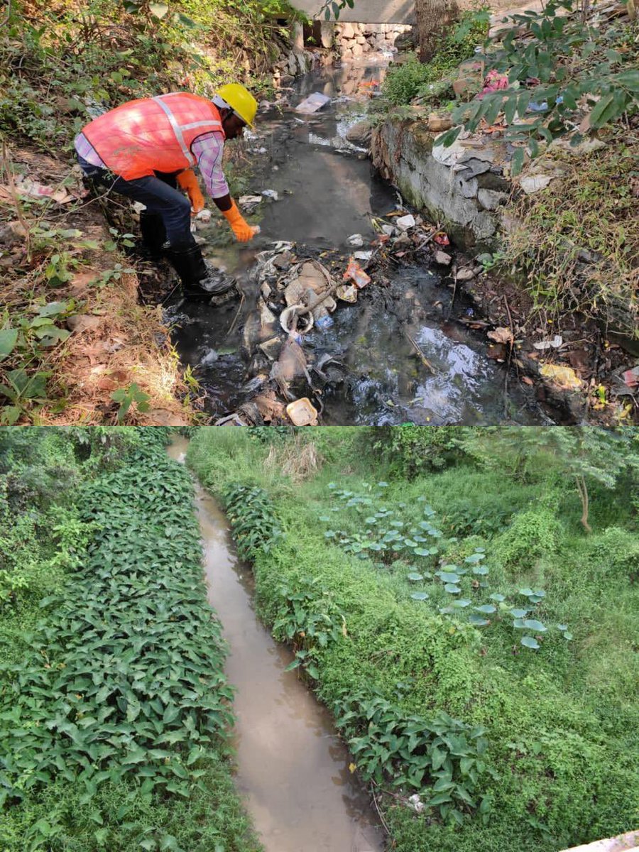 GainForestNow's tweet photo. #ThrowbackThursday #TBT 
Before: POLLUTION 🤢
After: PRISTINE ✨💧

We love the work our #PartnerProject FORREST is doing – and this is just one of the impacts they’ve done in India 🇮🇳 From a polluted waterway filled with garbage to a clear, vibrant stream teeming with life; this is #RestorationInAction 💚 This is the product of more than 15 restoration interventions 🤯 including introduction of riparian vegetation. 🌱

FORREST is an organization dedicated to strengthening the bond between humans and nature through initiatives like climate change mitigation, forest restoration, and wildlife corridor preservation. Join us in celebrating their impactful work and explore more about FORREST on the #GreenGlobe: https://t.co/Py4TKCb8J8 🌍