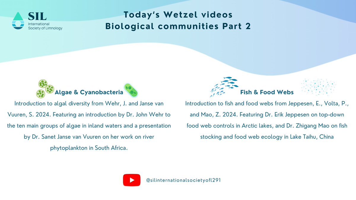 Wetzel Week: Day 3 🌊🌊🌊
Today, we continue learning about biological communities in videos on algae &amp; cyanobacteria, moving up in the food chain to fish communities &amp; food webs! 
Algae &amp; Cyanobacteria 📽️ youtu.be/_Mw2xJz_1Os?si…
Fish &amp; Food webs 📽️ youtu.be/TxT_vKKbNMk?si…