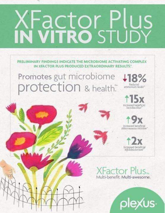 NataschaShaver's tweet image. XFactor Plus is METHYLATED &amp;amp; delivers the highest quality ingredients in their most bioactive &amp;amp; bioavailable forms that provide 100% recommended daily allowance of 19 essential nutrients &amp;amp; more than 50 naturally occurring trace minerals.

#xfactorplus #B6 
shopmyplexus.com/nataschamshaver