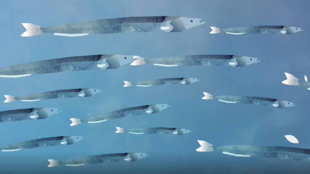 We're launching something very exciting tomorrow!  Here's a sneak peek....keep your eyes peeled 👀 #FilmFriday #Marine #Coast