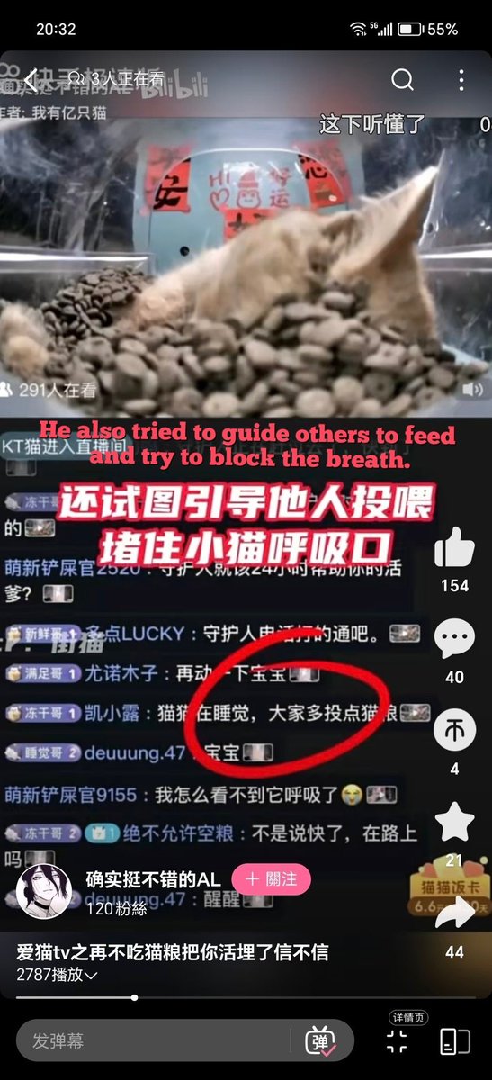 After the sick orange cat fainted in the 'cat house', it was maliciously fed to the cat food remotely, trying to block its breath, and finally lost its life. Users of the #bilibili platform shared this post and laughed at it.