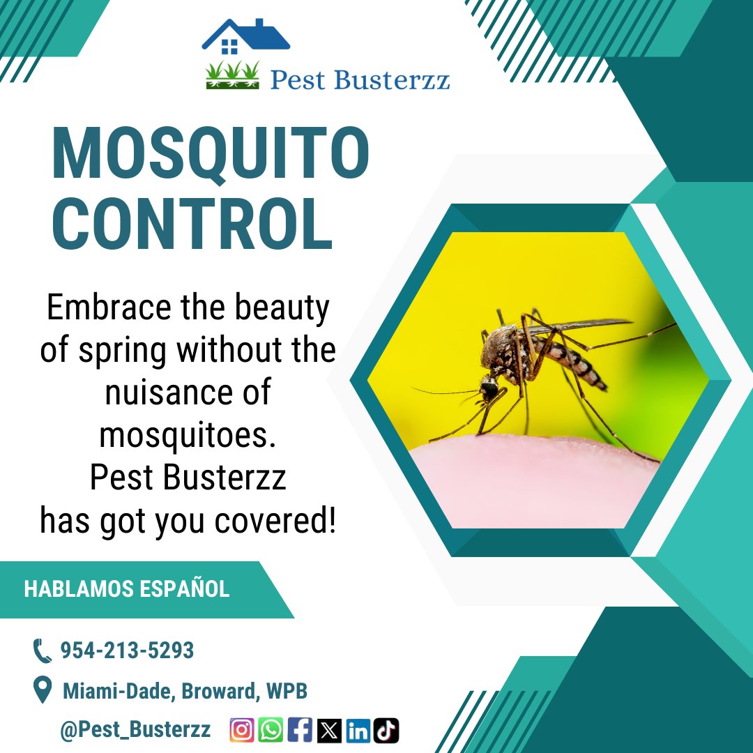 pest_busterzz's tweet image. Welcome the freshness of spring without any pesky mosquitoes! Pest Busterzz is your trusted ally for a peaceful, bite-free season. 🌷🦟#SpringtimeBliss #PestBusterzz #PestControl #termitecontrol #iguanaremoval pestbusterzz.com/pest-control-m…