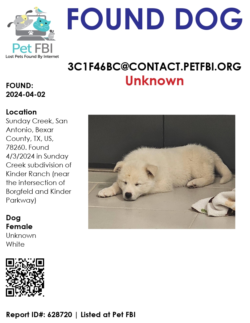 This dog was found in #SanAntonio #LostDog #FoundDog