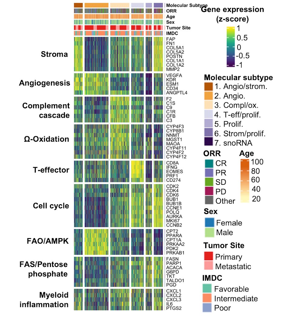 Renee Maria Saliby: Our paper 'Impact of RCC molecular subtypes on immunotherapy and targeted therapy outcomes' is now published in Cancer Cell 2 Image
