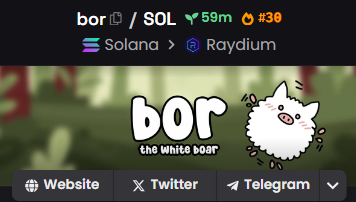 borofficialX's tweet photo. BOR IS NOW ON OVERALL DEXSCREENER HOT TRENDING! https://t.co/8eozySkcwP