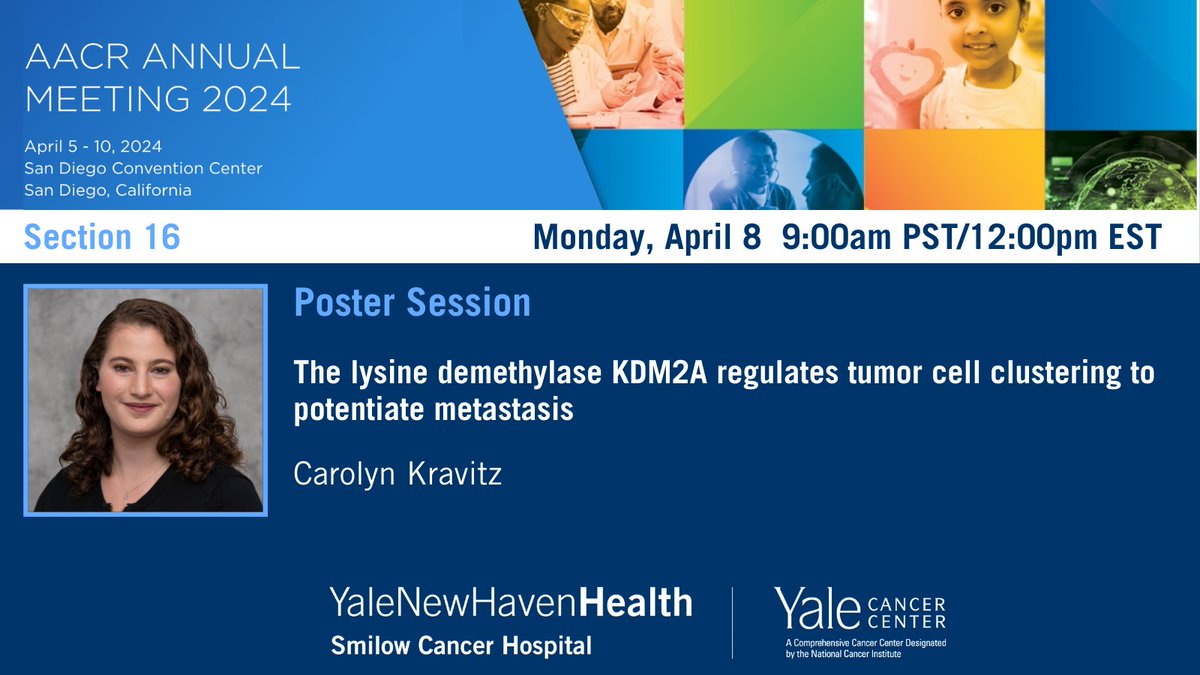 Starting at 9am PST/12pm EST in Section 16, Caro Kravitz, grad student in the Nguyen Lab, will share how KDM2A is identified as a novel regulator of #NSCLC metastatic spread. #AACR24 abstractsonline.com/pp8/#!/20272/p… @SmilowCancer @YaleMed @YNHH @yalepathology
