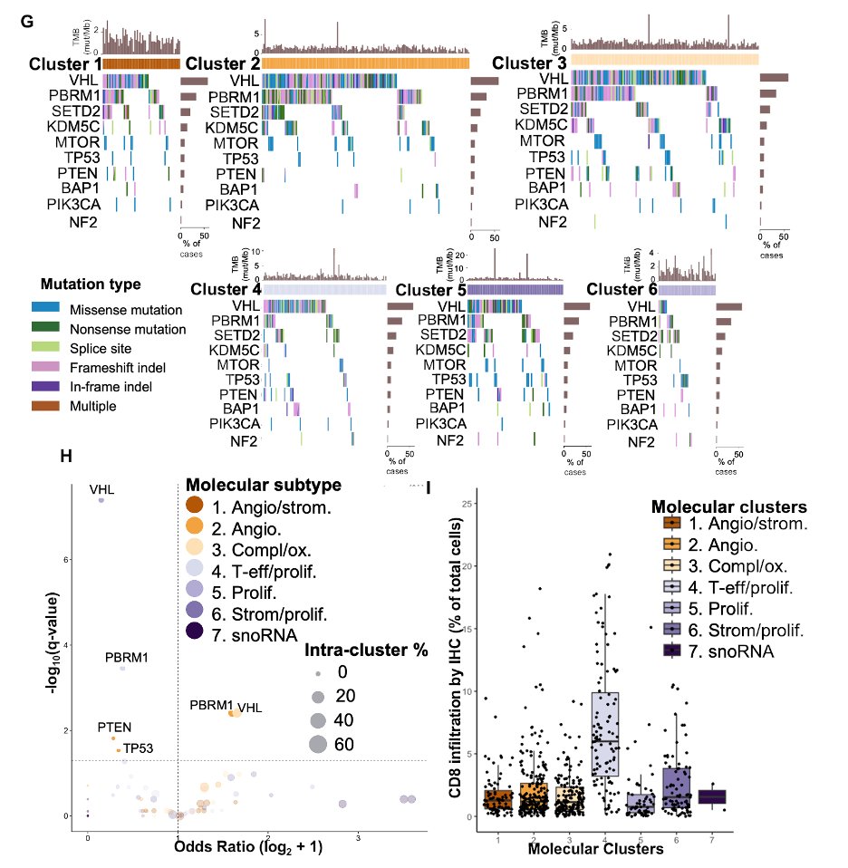 Renee Maria Saliby: Our paper 'Impact of RCC molecular subtypes on immunotherapy and targeted therapy outcomes' is now published in Cancer Cell 3 Image