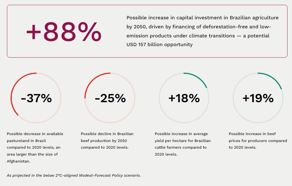 Nature4Climate's tweet photo. New report by @OrbitasFinance: Climate change policies &amp; private sector actions could transform Brazil's cattle sector by 2050. Get more insights in the Nature4Climate weekly brief: https://t.co/ipNcEugOjZ https://t.co/V4VrDLziDk