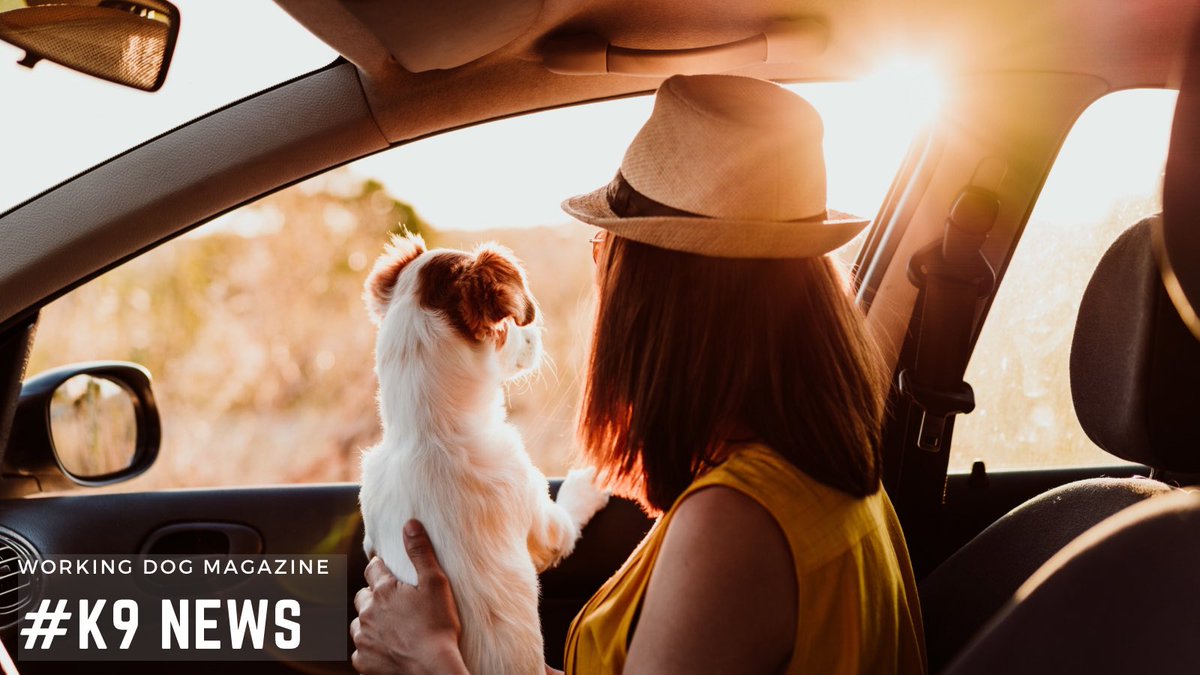 🗞️ ☕️ 🐕 ⁣⁣⁣⁣ ⁣⁣⁣⁣ Don’t miss this week's Working Dog Magazine newsletter: conta.cc/3U1SVRE⁣⁣ ⁣⁣⁣⁣⁣⁣⁣⁣ #thinlinemedia #workingdogmagazine #wdtc #dogpeople ⁣⁣⁣⁣⁣⁣⁣⁣• #thegoldstandard