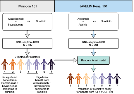 Renee Maria Saliby: Our paper 'Impact of RCC molecular subtypes on immunotherapy and targeted therapy outcomes' is now published in Cancer Cell 1 Image