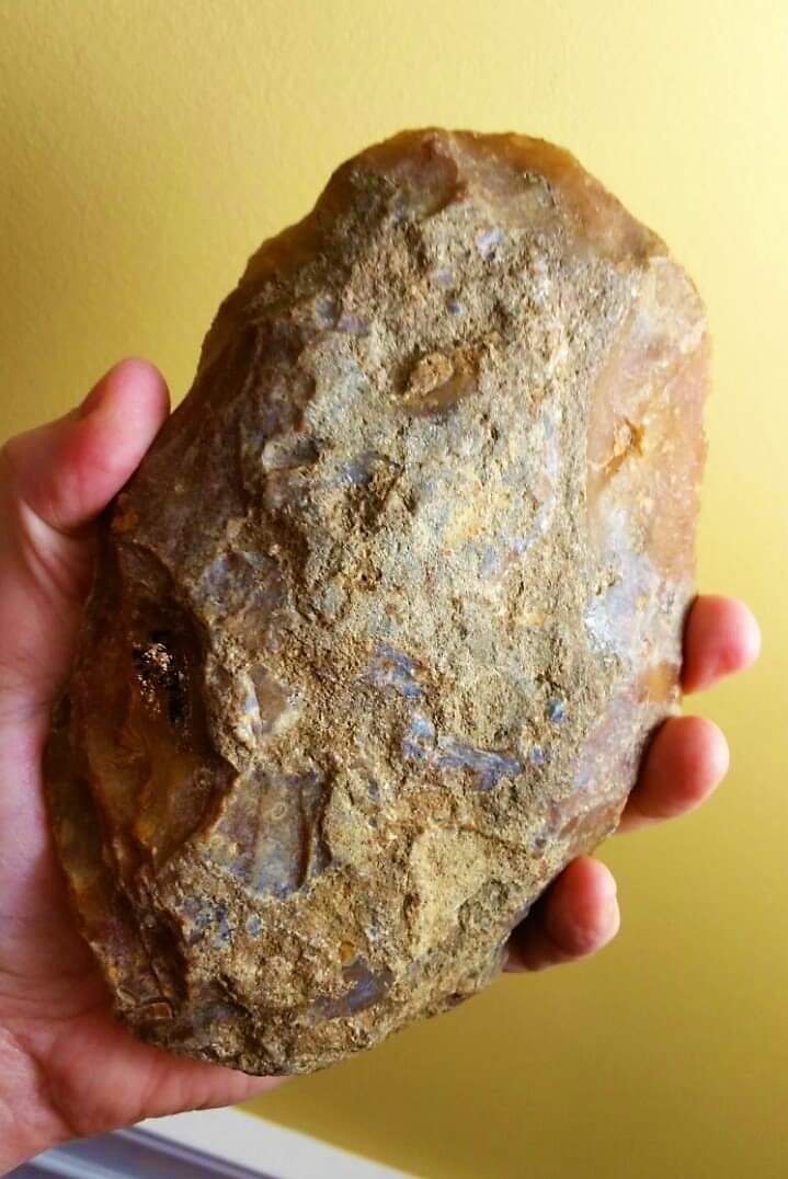 histories_arch's tweet image. A sizable Neanderthal Paleolithic hand axe, from West-central France. Originally from the old collection, The Archives of Prehistoric Europe. Now mine. Stone Age, Acheulean Phase (Acheulian), Flint/silex. Length: 179 mm (7.05"), weight: 1,229 grams (2 lbs, 11oz) 

Homo