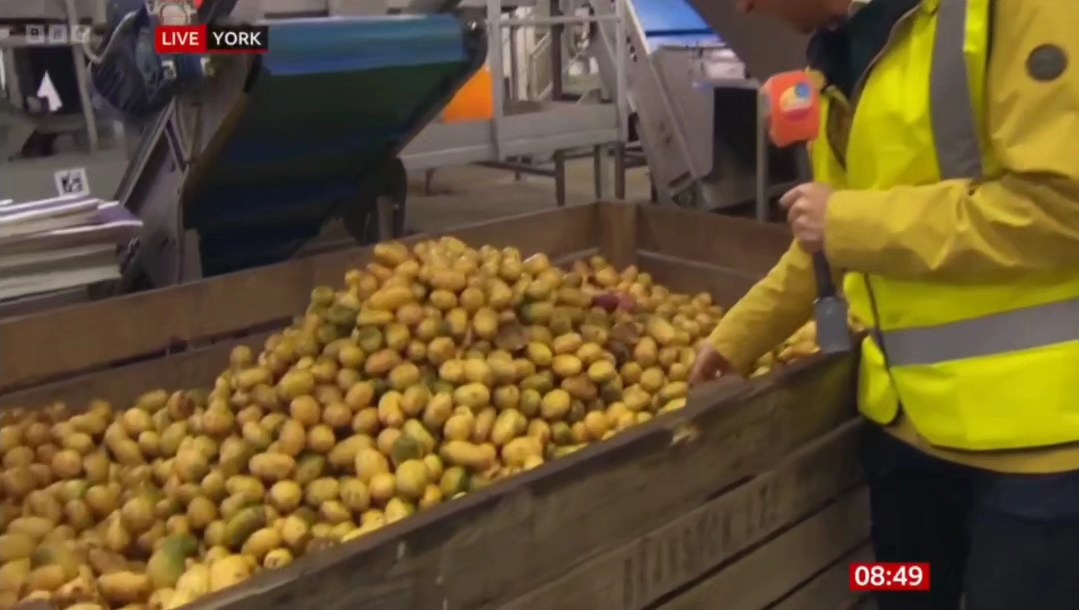 HKTimbers's tweet photo. When you catch the #BestBoxAround on the morning news π· π· π· π·
#SpudBox #Spuds #Potato #PotatoBox #NotJustForSpuds #HKTimbers https://t.co/bYY58oh1XW