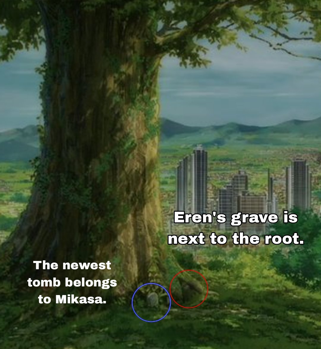 Mikasa was buried next to Eren, you can clearly see how Eren's grave coincides with the older grave in the second image, meanwhile there is another newer grave next to him. Remember that about 50 years have passed since Mikasa's death, Eren's tomb was more than 100 years old.