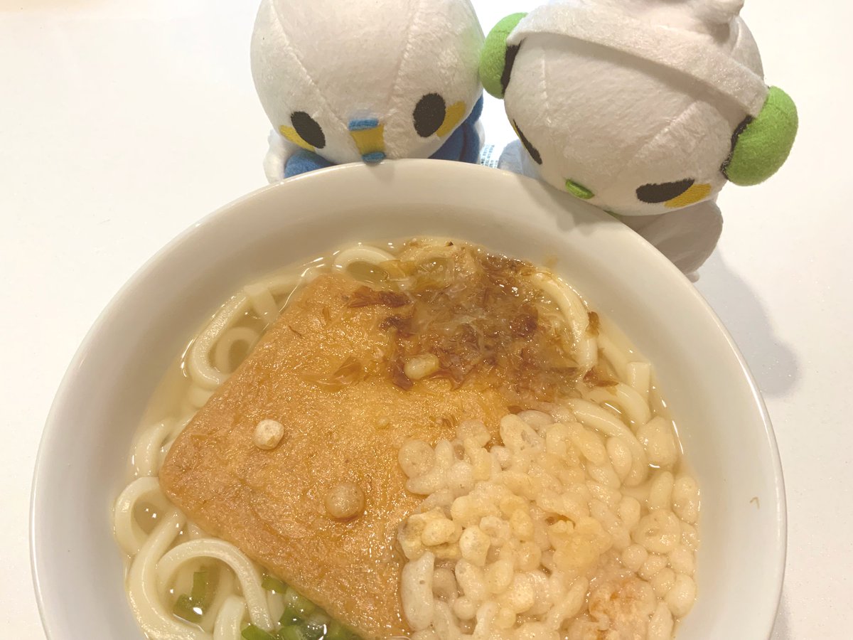 モイ！🐤 今日はうどんを食べたモイ✨ おおきいおあげさん、うまそうだモイ ･･･じゅるりє(・Θ・｡)э #きょうのモイーズ