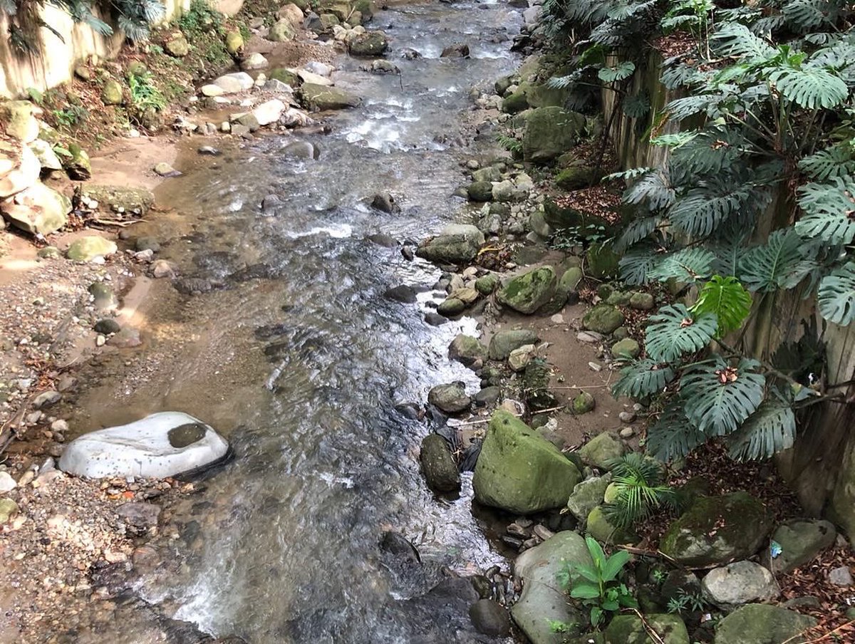 ¡Exploración en la quebrada La Ayurá! Nos aventuramos con los Guardianes de La Ayurá del Proyecto Interlace y de la I.E San Vicente, para sumergirnos en el fascinante paisaje de nuestra quebrada. ¡Un viaje educativo para que nuestros niños valoren nuestro recurso más preciado!