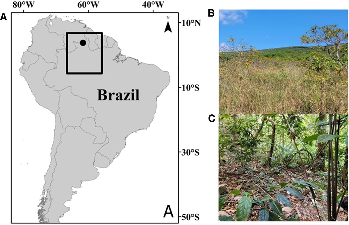 #LiteratureNotice Salomão et al. Insights into #DungBeetles (#Coleoptera: #Scarabaeidae: Scarabaeinae) distribution along an elevational gradient in a tepui table-top mountain in the Brazilian Amazon. doi.org/10.4039/tce.20… #Beetle #Beetles #Biodiversity