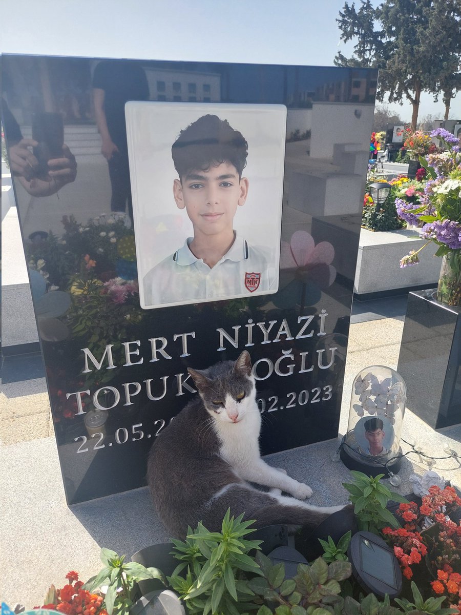 Öyle çok severdi ki kedileri Mert'im🧡 Yanında öyle keyifle yatıyordu mezarlıktaki kedimiz. Düṣünceli, hayvanlara değer veren, sevgi dolu çocuğumu aldılar. Adaletiniz sağlanana kadar durmak yok çocuklar! Söz!
#isiasortakdavamız 
#4NisanSokakHayvanlarıGünü