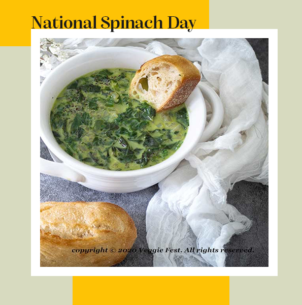 This recipe makes spinach, kale, and Swiss chard the most appealing part of the meal. You won’t believe it, but your kids will ask for more. Read more: veggiefestchicago.org/recipe/creamed… #CreamedSpinach #Spinach #veggiefestchicago #Plantbased