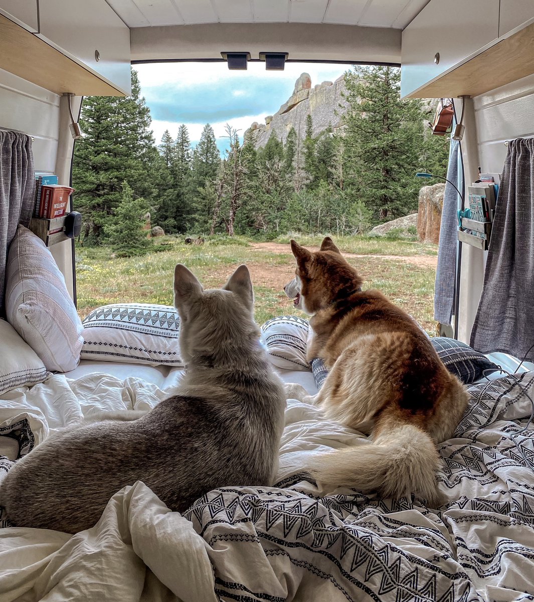 11 Essential Dog Travel Accessories and Dog Camping Gear for 2024!🐕

Essentials: wenrv.com/news/11-essent…
-
-
-
#rv #rvlife #roadtrip #motorhome #rvcountry #rvliving #camping #outdoors #wenrv #travel #rvlifestyle #luxuryrv #campingmemories #hiking #rvdealership #newrv #roadtrip