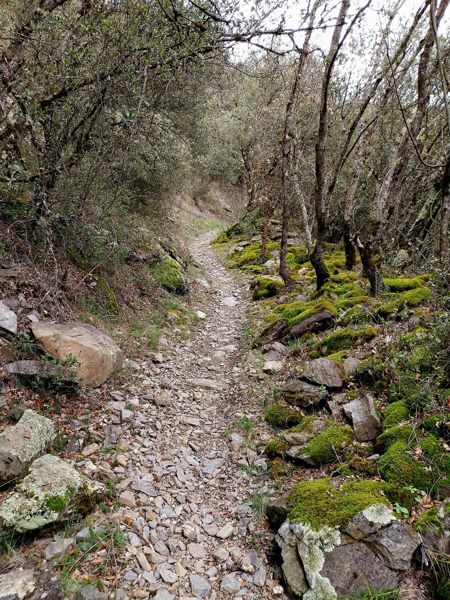 La xarxa tradicional de camins de bast unia tots els pobles de la vall i comunicava les valls veïnes.
📸 camí de Castellbò a Sallent (vall de Castellbò)