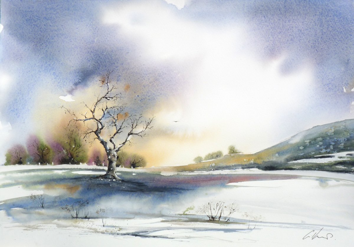 The Old Tree, watercolour. #watercolour #art